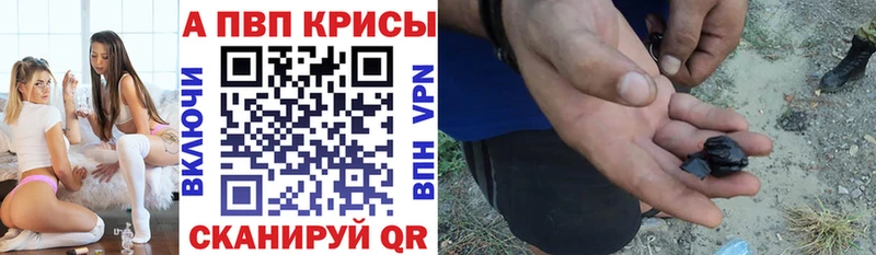 A PVP крисы CK Иннополис