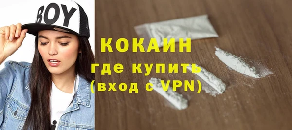 ALPHA PVP Каменка