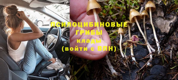 ГАЛЛЮЦИНОГЕННЫЕ ГРИБЫ Каменногорск