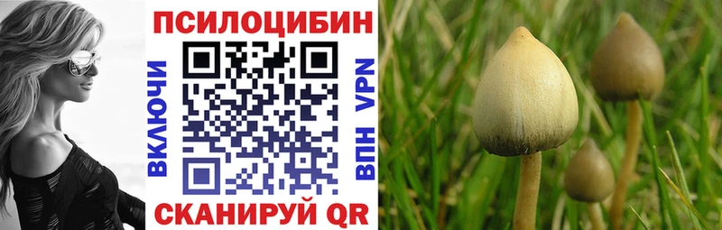 Псилоцибиновые грибы ЛСД  Купить закладки  Иннополис 